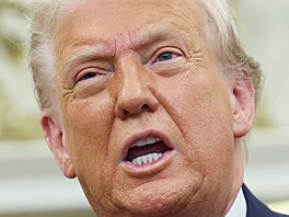 Americký prezident Donald Trump hovoí v Oválné pracovn Bílého domu ve...