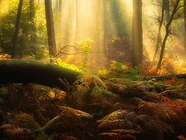 Duny, p�esypy, plán� plné písku. Nebýt toho, �e je tu a tam zpest�í n�jaké...