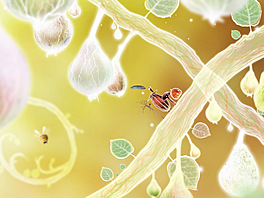 Botanicula
