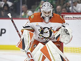 Luká Dostál v brán Anaheim Ducks