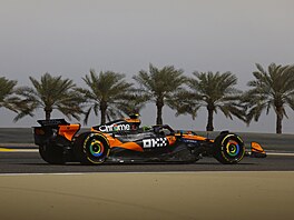 Lando Norris z McLarenu b�hem tréninku v Bahrajnu