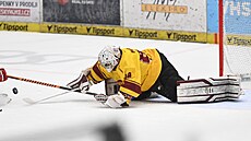 Branká� Adam Beran z Jihlavy zasahuje.