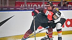 Momentka  utkání N�mecko - Japonsko.