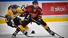 Pavel Sedlá�ek ze Zlína a Jan Strej�ek (vpravo) z Jihlavy.