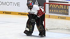 Josef Ko�ená� v brance Sparty v �estém semifinálovém souboji s Brnem.