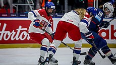 Momentka z utkání hokejového MS �en �esko vs. USA.