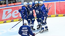 VYROVNÁNO. Hokejisté Komety se radují z gólu Arttu Ilomäkiho.