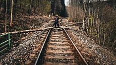 Meteorologové vyhlásili výstrahu p�ed silným v�trem na �ad� míst v �esku. Kv�li...