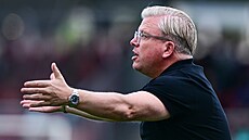 Sparanský kou Lars Friis bhem utkání v Pardubicích.