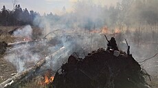 V pátek dopoledne zasahují hasii u poáru lesa v lokalit Hut, místní ásti...