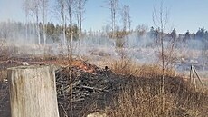 V pátek dopoledne zasahují hasi�i u po�áru lesa v lokalit� Hut�, místní �ásti...