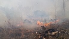 V pátek dopoledne zasahují hasi�i u po�áru lesa v lokalit� Hut�, místní �ásti...