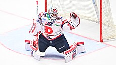 Pardubický branká Roman Will zasahuje proti stele Komety.