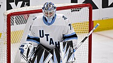 Branká� Utahu Karel Vejmelka b�hem utkání proti Dallasu.