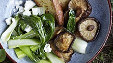 Ope�ené shitake s �ínským salátkem