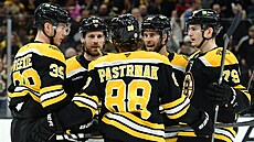 David Pastrák se spoluhrái slaví svoji branku.