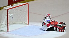 Brankáka Andrea Braendliová ze výcarska po pátém inkasovaném gólu.