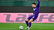 Rolando Mandragora st�ílí branku Fiorentiny.