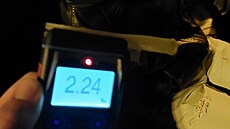 Vichni úastníci potyky v Pardubicích nadýchali pes dv promile. (14. dubna...