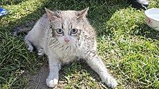 Libere�tí hasi�i zasahovali ve st�edu dopoledne u ho�ícího bytu v libereckém...