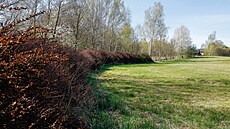 T�lo �eny le�elo na louce nad �elezni�ním p�ejezdem ve Vi��ové na Frýdlantsku.