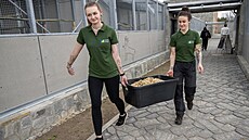 Pra�ské Jinonice slavnostn� otev�ely novou záchrannou stanici pro voln� �ijící...
