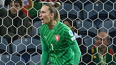 Barbora Votíková v reprezentaci