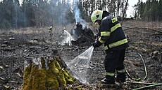 Poár lesa na eínku na Jihlavsku. (11. dubna 2025)