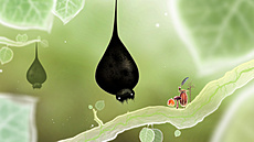 Botanicula