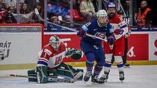 Michaela Hesová v �eské brance proti USA.