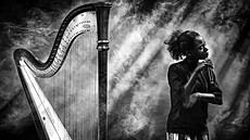 Francouzský fotograf Hervé Escario vyhrál 12. roník mezinárodní soute Jazz...