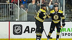 David Pastrák (vlevo) a Morgan Geekie slaví gól Boston Bruins.