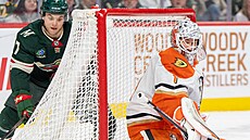Luká Dostál v brán Anaheim Ducks