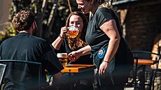 Restaurace V Ruthardce láká na skvělé jídlo, vychlazené pivo a krásné posezení.