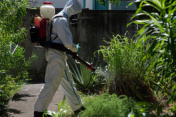 Epidemie nemoci chikungunya v posledních m�sících zu�uje obyvatele ostrovu...