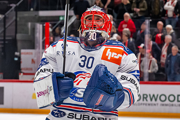 NHL mu ujela, reprezentace ho přehlíží. Přesto Hrubec v bráně uchvacuje