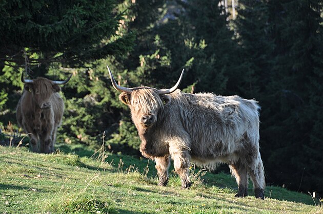 Mal� �pa: tady kon�� asfalt a za��n� pohoda