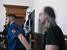 Krajsk soud v Brn se zaal dnes zabvat ppadem mue a eny obalovanch v...