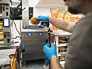 Redaktor brnnsk redakce MF DNES Ji Punoch si vyzkouel prci v kuchyni...