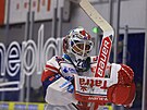 Pardubick brank Roman Will ve finle s Kometou Brno.