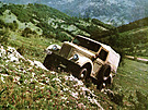 ARO M461