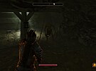 The Elder Scrolls IV: Oblivion Remastered (PS5 Pro)