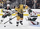 Keegan Kolesar (55) z Vegas Golden Knights ped bránou Minnesota Wild mezi...