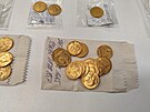 Muzeum vchodnch ech pedstavilo nlez minc, tabatrek a dalch pedmt ze...