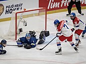 Sanni Aholaová zasahuje proti eské akci.