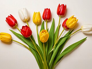 ilustra�ní snímek