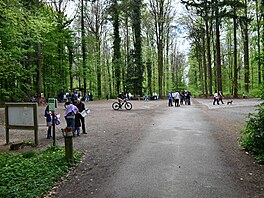 Leto�ní sezona hyacintovc� oficiáln� za�ala v sobotu 12. dubna. Následn� se ale...