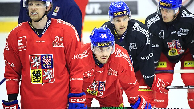 tonk Jakub Lauko na reprezentanm srazu mezi bratry Michalem a Ondejem Kovakovmi.