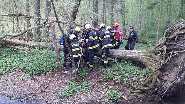 U eny, kter se zranila pi pdu z kola na single trailu v brnnskm Marinskm dol, zasahovali zchrani, hasii i policist. K transportu z nepstupnho ternu vyuili vakuov nostka a vrtulnk s palubnm jebem. (20. dubna 2025)