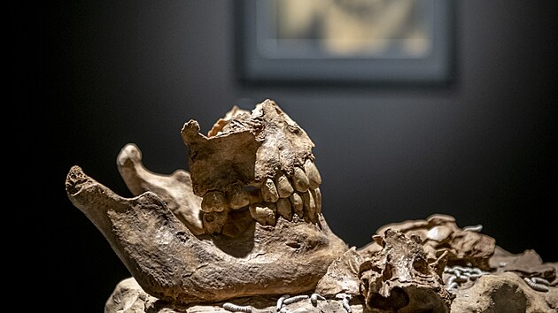 Vanitas VIII  Fractura ,  patinovan� keramika, 24 x 27 x 42 cm, 2024.